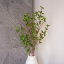 Ramo artificiale di Milano