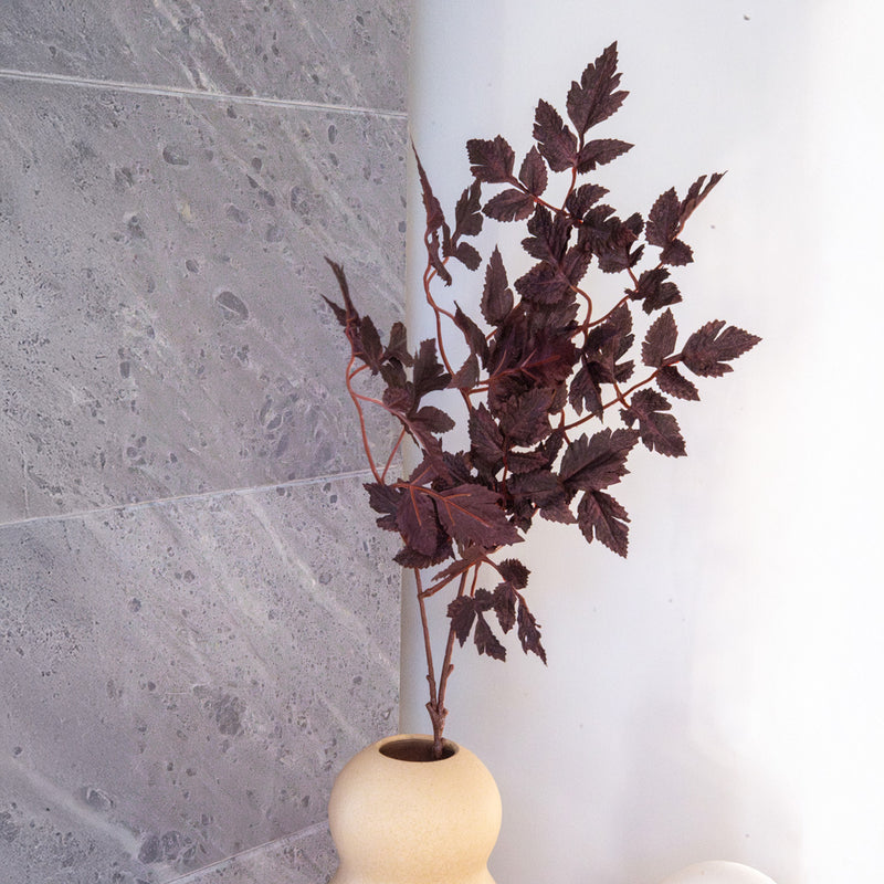 Ramo artificiale di Cimicifuga