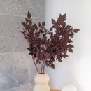 Ramo artificiale di Cimicifuga