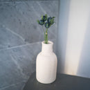 Cardo panicaut in carta blu turchese