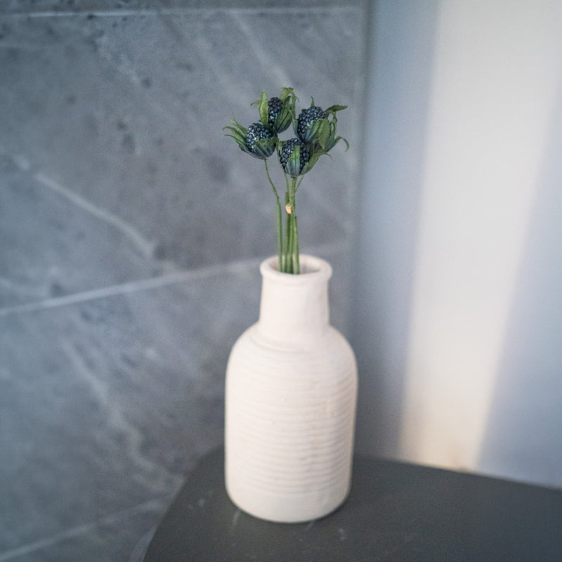 Cardo panicaut in carta blu turchese