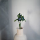 Cardo panicaut in carta blu turchese