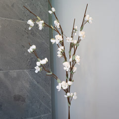 Fiori di ciliegio in carta bianca