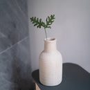 Felce di carta reale verde scuro