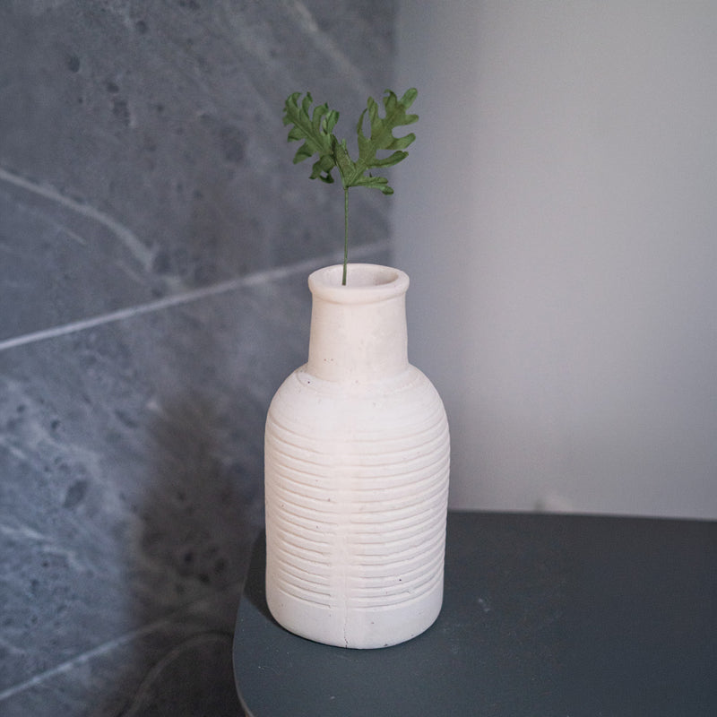 Felce di carta reale verde scuro