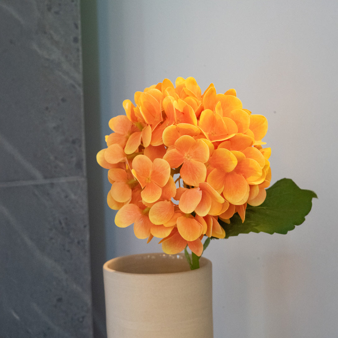 Item3181 Hortensia Orange