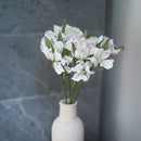 Gigli Inca in carta bianca e verde