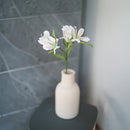 Gigli Inca in carta bianca e verde