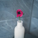 Piccolo anemone di carta fucsia