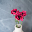 Piccolo anemone di carta fucsia