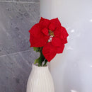 Stelo della stella di Natale