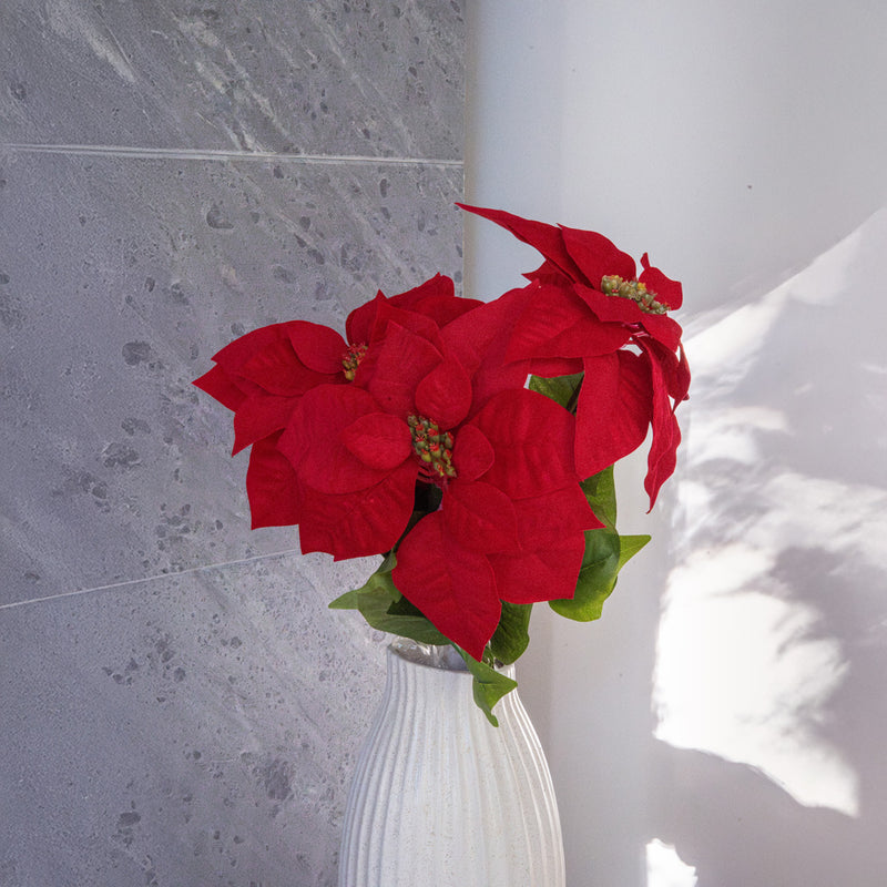 Stelo della stella di Natale