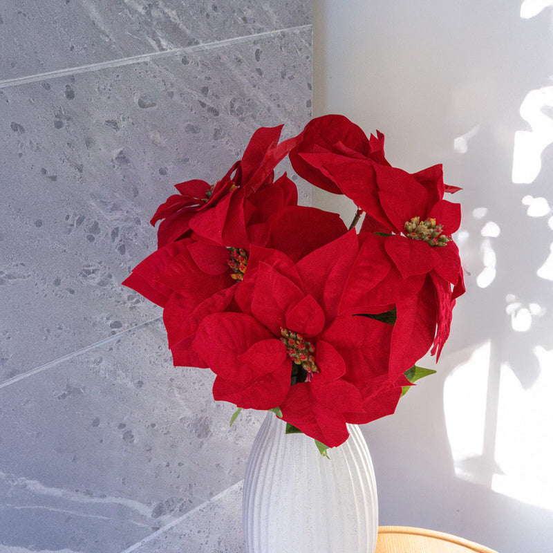 Stelo della stella di Natale