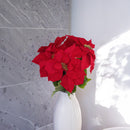 Stelo della stella di Natale