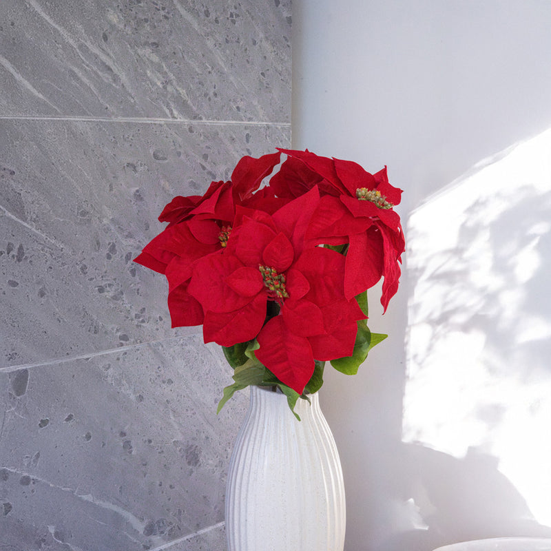 Stelo della stella di Natale