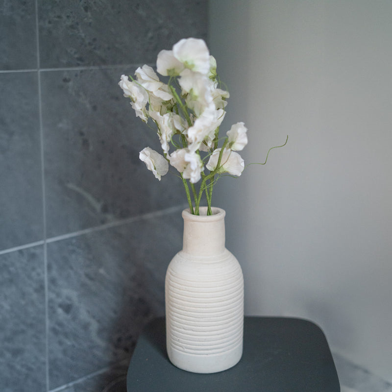 Piselli dolci in carta bianca e verde