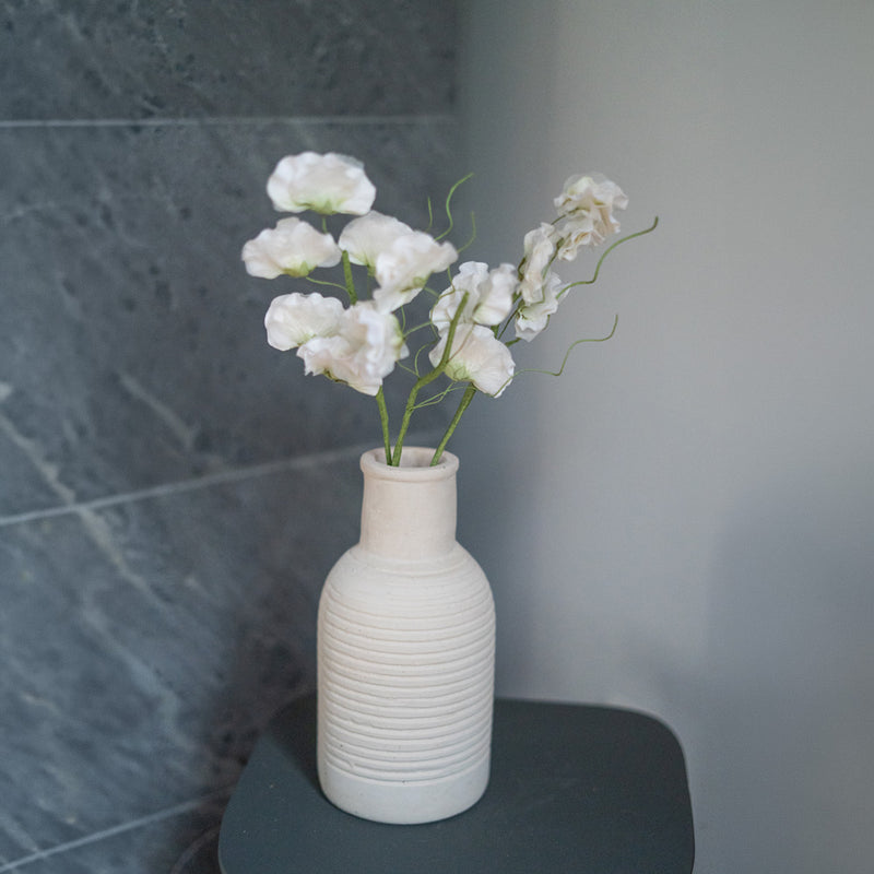 Piselli dolci in carta bianca e verde