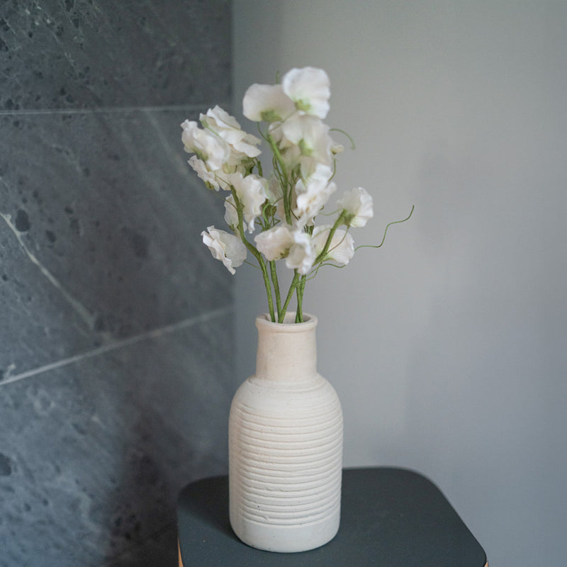 Piselli dolci in carta bianca e verde