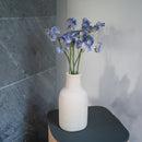 Piselli dolci in carta blu