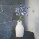 Piselli dolci in carta blu