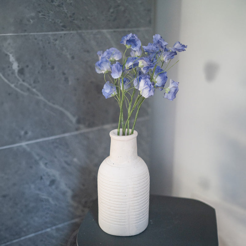 Piselli dolci in carta blu