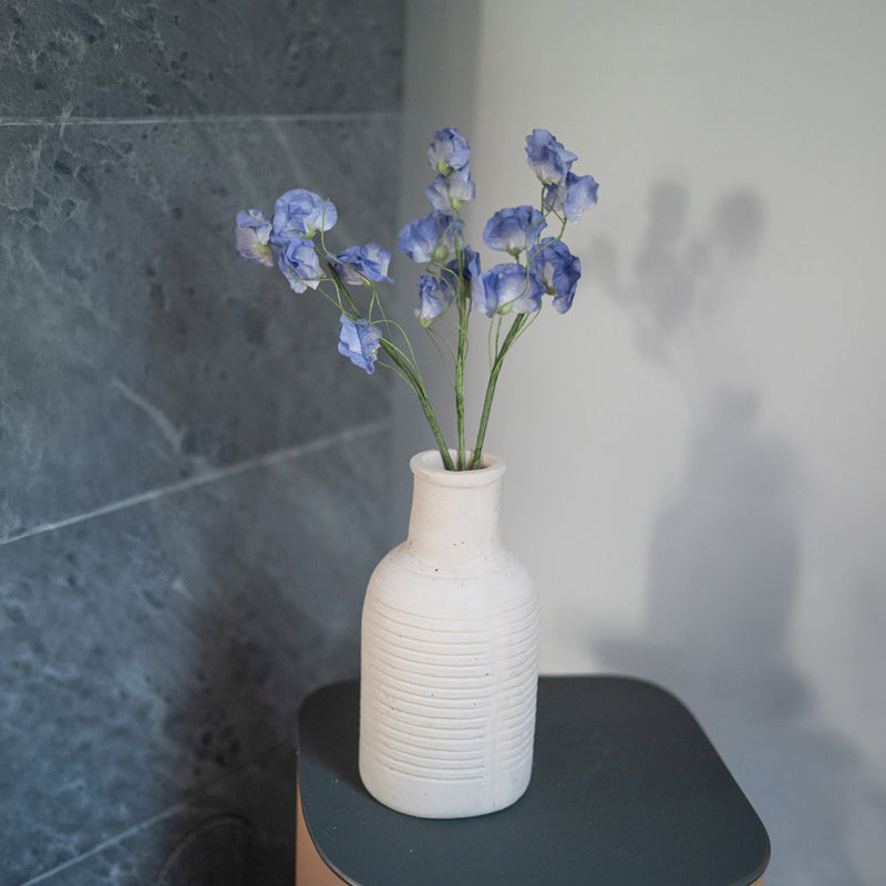 Piselli dolci in carta blu