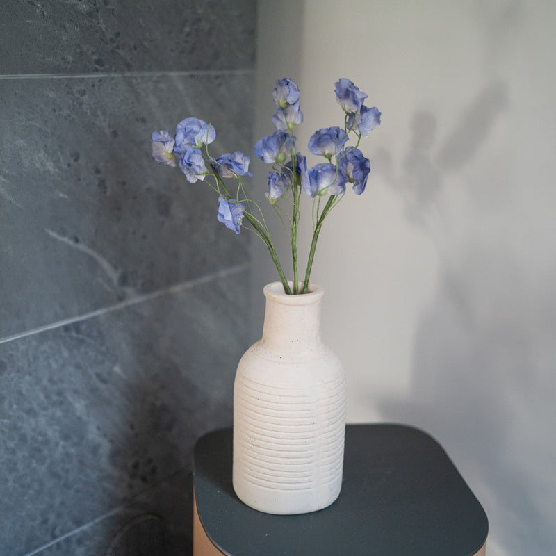 Piselli dolci in carta blu