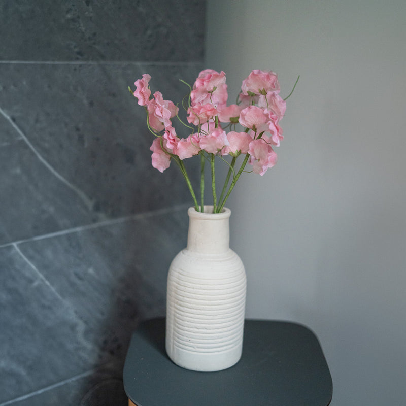 Piselli dolci in carta rosa chiaro