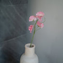 Piselli dolci in carta rosa chiaro