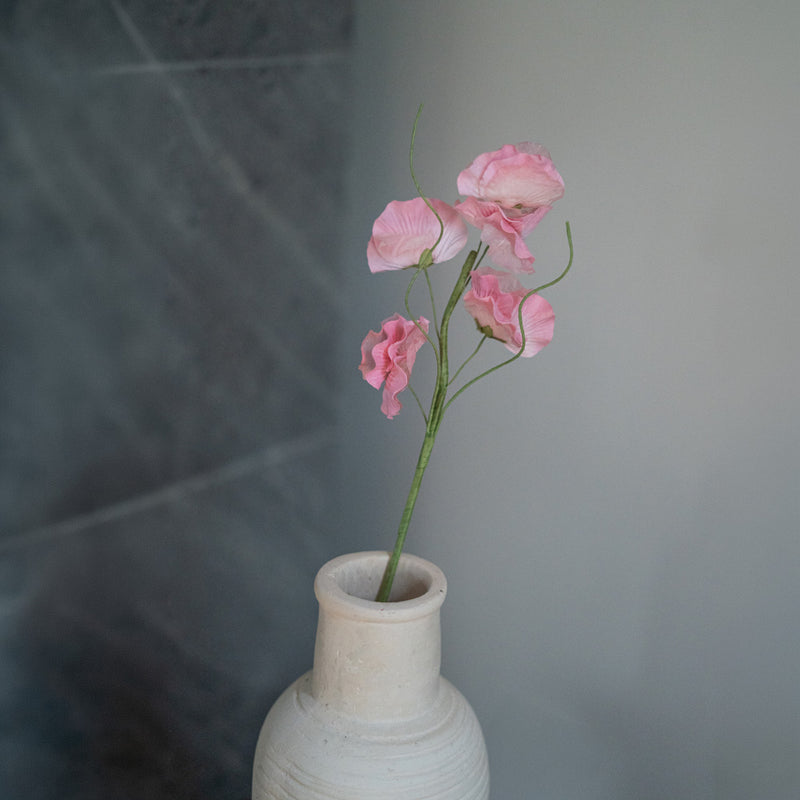 Piselli dolci in carta rosa chiaro