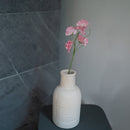 Piselli dolci in carta rosa chiaro