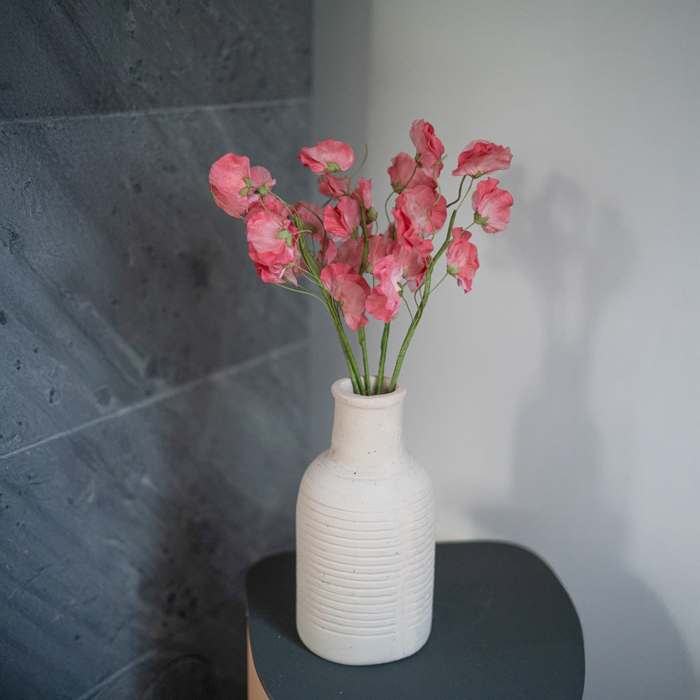 Piselli dolci in carta rosa scuro