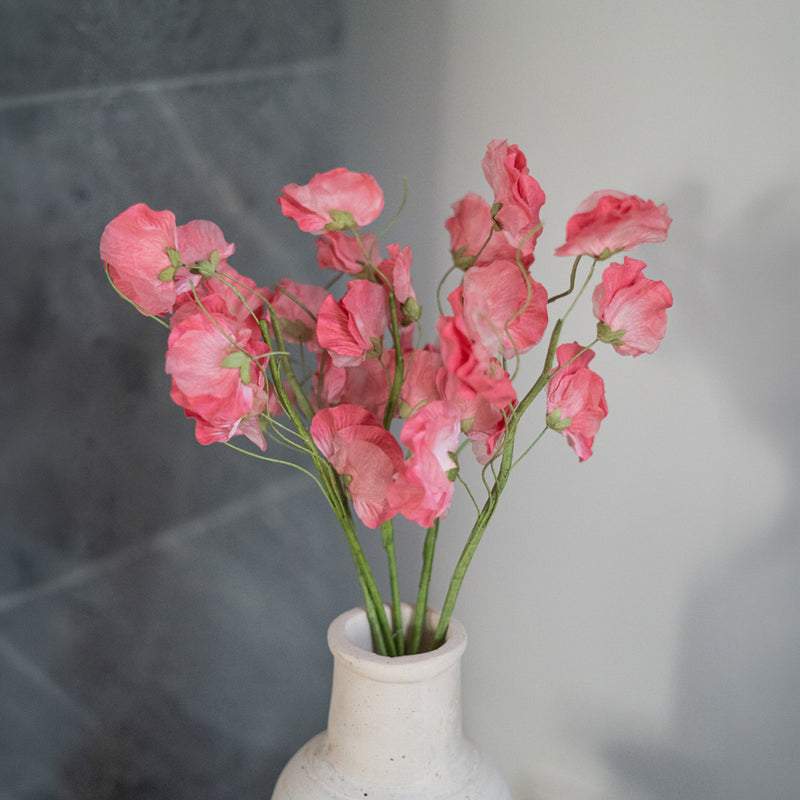 Piselli dolci in carta rosa scuro