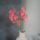 Piselli dolci in carta rosa scuro