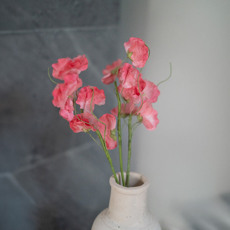 Piselli dolci in carta rosa scuro