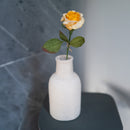 Rose Lady in carta gialla