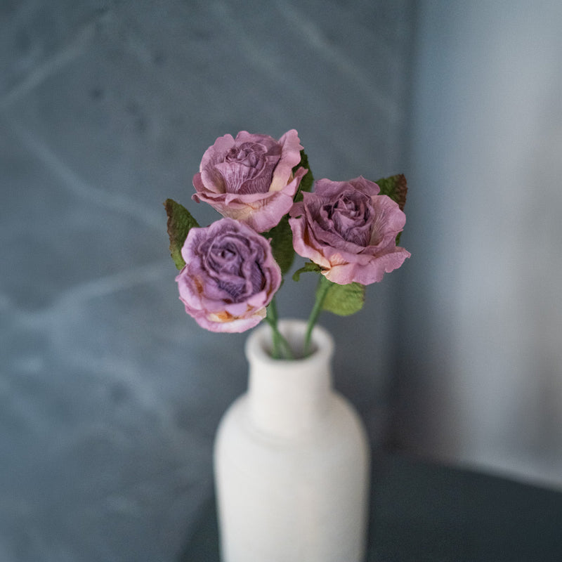 Rose Lady in carta viola