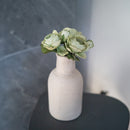 Regina delle rose in carta verde