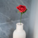 Rosa di carta rosso brillante Rosa