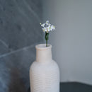 Fiore del ventaglio delle fate di carta bianca