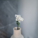 Fiore del ventaglio delle fate di carta bianca