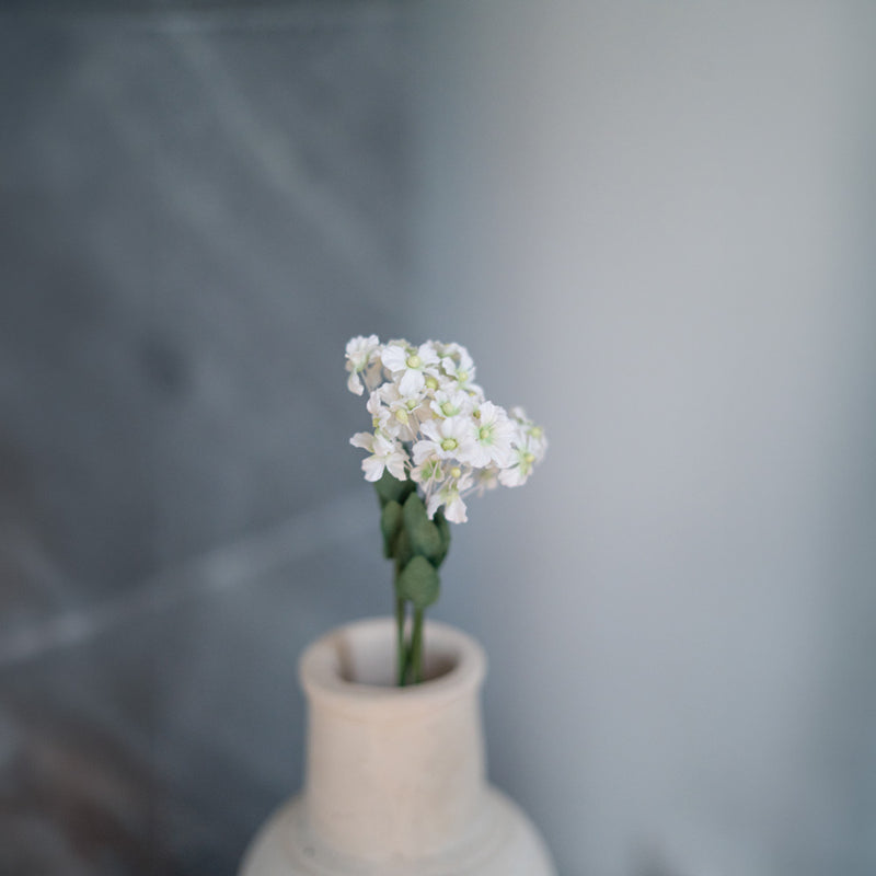 Fiore del ventaglio delle fate di carta bianca