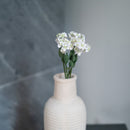 Fiore del ventaglio delle fate di carta bianca