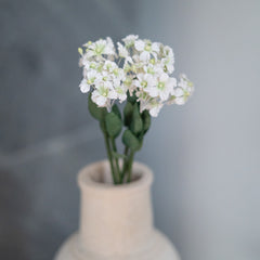 Fiore del ventaglio delle fate di carta bianca