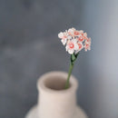 Fiore del ventaglio delle fate di carta pesca