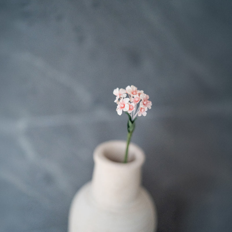 Fiore del ventaglio delle fate di carta pesca