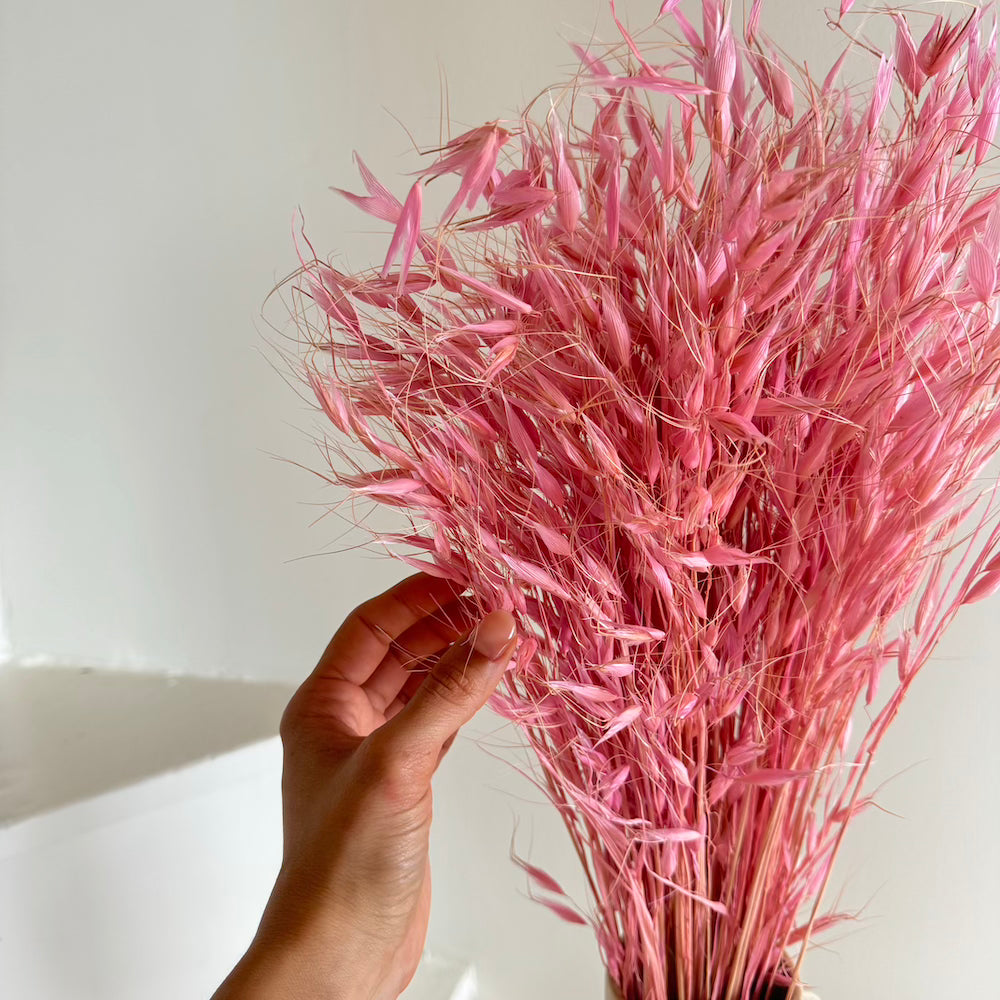 Botte fleurs séchées Avoine Lilas