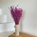 Botte fleurs séchées Avoine Violet