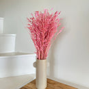 Botte fleurs séchées Avoine Lilas