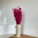 Botte fleurs séchées Avoine Magenta